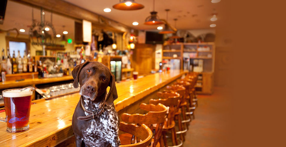 Kirby Cosmo enjoying a beer